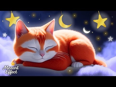 Bedtime with Cat Lullaby 💙 60 Minutes of Handmade Lullabies for Peaceful Rest