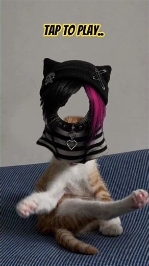 PART 16 The Pausing Game, How many 'Perfect' shots of Timmy did you get? #catpuzzle