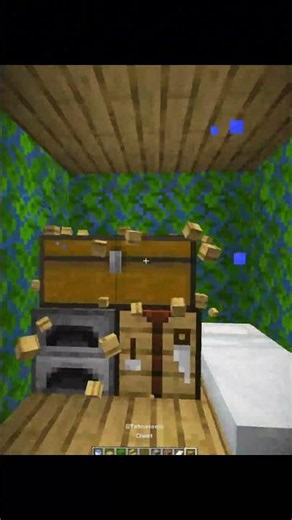 Minecraft Anti-Grief Safest House Moment