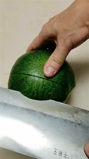 YELLOW WATERMELON hiding inside?! 😱🍉🔪 #gardening #farming #garden #harvest #vegetable #cutting