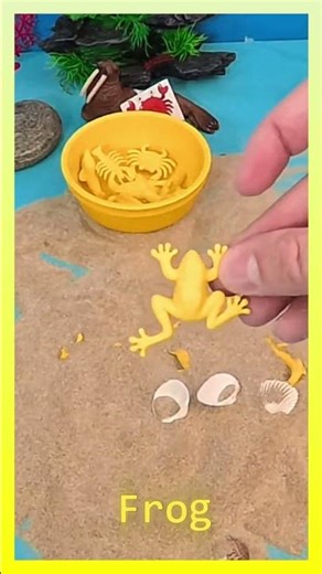 Yellow Ocean Animals 💛☀️: Discovering Yellow Sea Animals: Crab, Whale, Marlin & More!