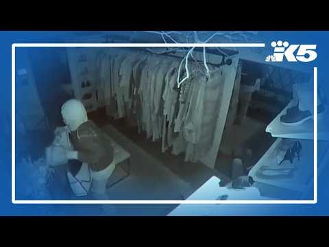 Video shows thief breaking through wall to steal thousands in consignment merchandise
