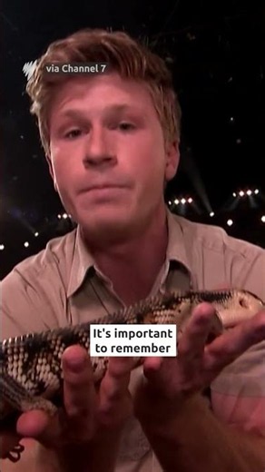 With lizards and snakes, Robert Irwin steals the show at Logies 2026