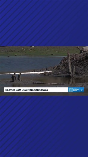 Beaver Dam drained