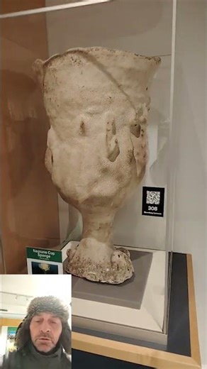 The World Museum Liverpool #29. The Neptune Sponge Cup, a real living organism!