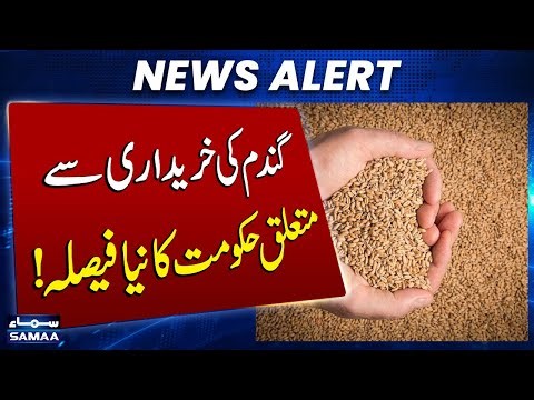 Govt Withdraws from Wheat Market Amid IMF Reforms | SAMAA TV