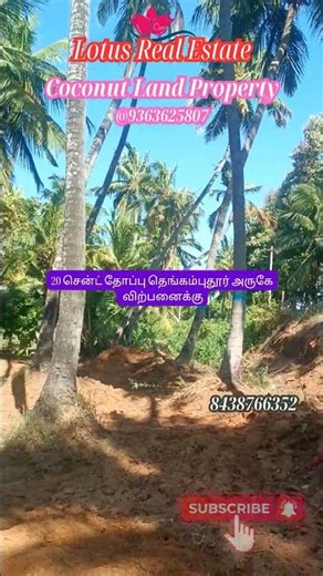 20 Cents Thoppu Sale | Thengamputhoor | 2 Sides Path | Free Current Available