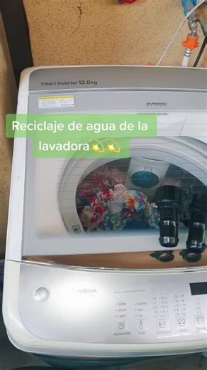 Cómo reciclar agua de lavadora para regar el jardín 🌿