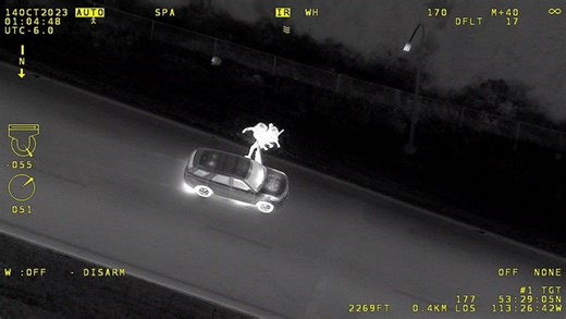 Edmonton police officer acquitted of excessive force