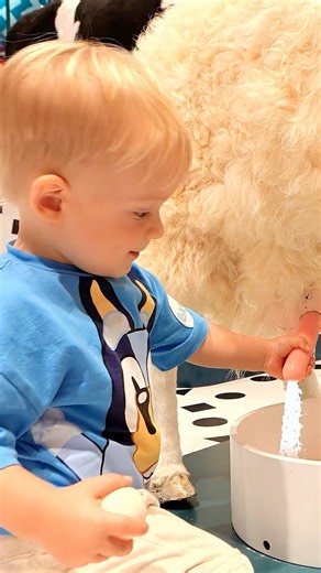 Adam’s Fun Day at Boo Boo Laand Dubai!