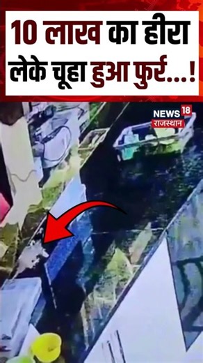 mouse Viral Video : 10 लाख का हीरा लेके चूहा हुआ फूर...! Shorts | N18S | Viral Video | Mouse Viral