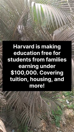 Harvard is taking a big step toward making education accessible for all! Students from families earning under $100,000 will have their tuition, housing, and more fully covered-making one of the world's top universities more attainable than ever before. A groundbreaking move for higher education! #Harvard #EducationForAll #BreakingBarriers #FreeEducation | AmazingFeed