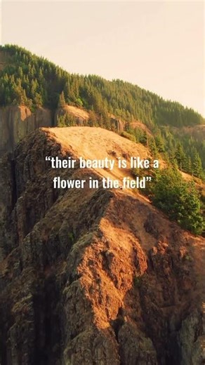 Today’s Scripture | Daily Bible Verse & Encouragement | Life Media Networks