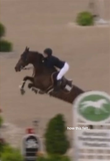 the power in Don kicked out ig #jessicaspringsteen #donjuanvandedonkhoeve #stallion #shiwnimping #equestrian