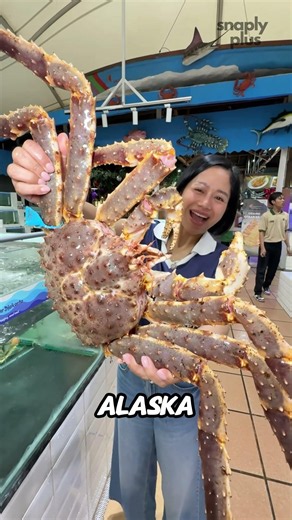 Why Is Alaska King Crab So Expensive? 🦀