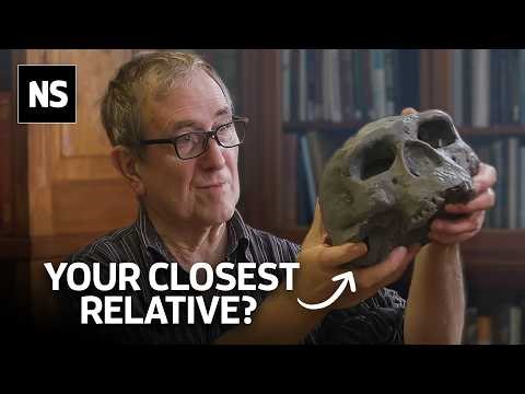 Where Are the Denisovans? The Answer is in our DNA