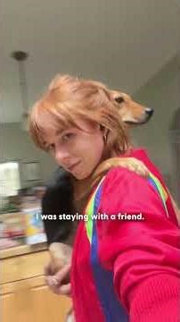 Dog Tip-Toes Through Plants To Find Her Zen | The Dodo