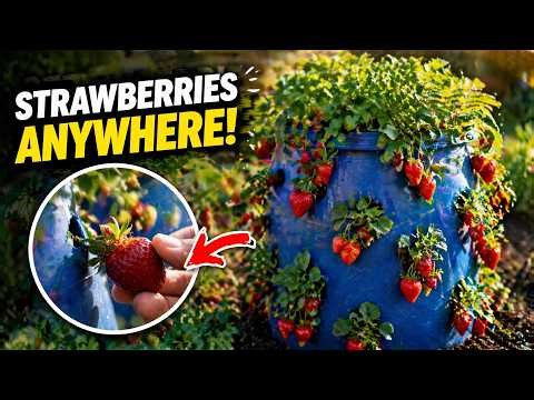 20+ Genius Backyard DIY Projects That Will Transform Your Garden 🌿🔥