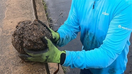 Those can still explode - then another bomb came out