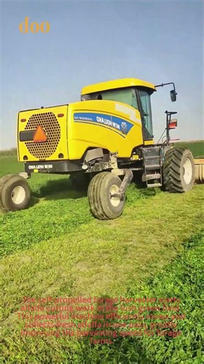Alfalfa Harvesting | Self-propelled Forage Harvester Cutting Alfalfa