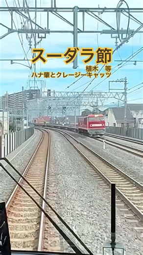 スーダラ節 - 植木等・ハナ肇とクレージーキャッツ