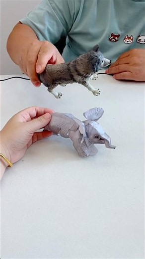Magic Animal Art Book 😱 Colorful Creatures Come to Life! 🐯 #viral #funny #art #trending