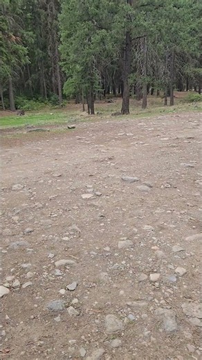Video of rimrock lake, WA from Matt G.