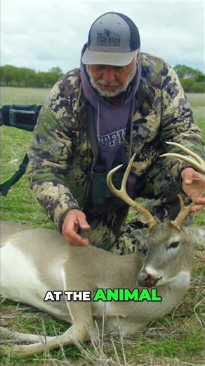 Deer Hoof Secrets: Unlocking Habitat Clues! #shorts