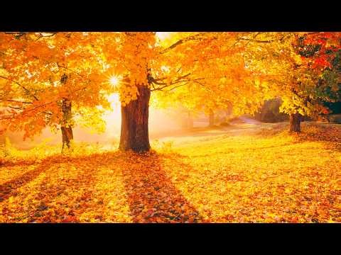 "Autumn Morning Dawn" Beautiful Relaxing Music, Peaceful Soothing Instrumental Music by Tim Janis