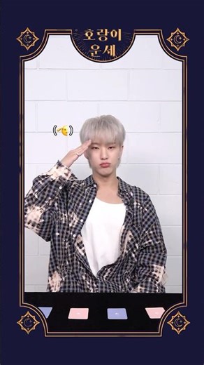 [HOSHI TAMTAM] 호랑이 운세 #4