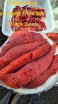 Batumi fish Market #pinoy #travel #lifeisbutadream #trending #fish #explore #nomad
