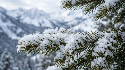 Winter predictions indicate areas of significant snowfall across the US