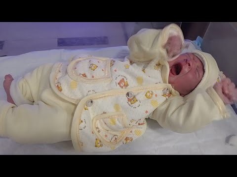 NICU Baby Recovery – Real Stories, Physio, & Shocking Transformations