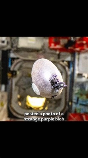NASA Grew an “Alien” on the ISS… It Was a Potato