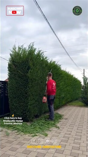Amazing Gardening Brushcutter Hedge Trimmer Machine