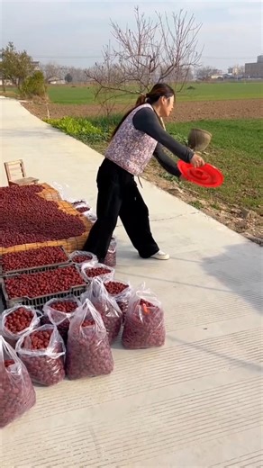 She is throwing away the fruits because she can't sell them | Sweet jujube fruits #fruit