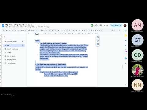 Organizational Behavior Project – Meeting 2: Identifying & Finalizing the Core OB Problem