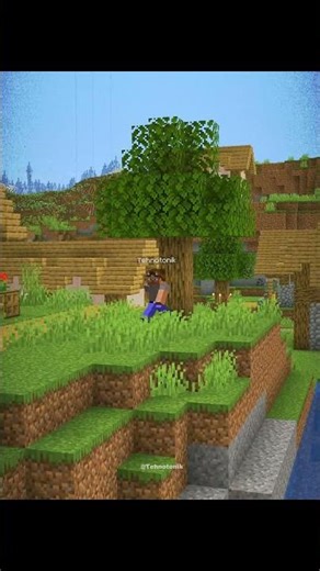 Minecraft Villager vs Pillager Seed Moment