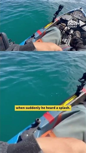 Great White Shark Seen Passing By Kayaker in Video
