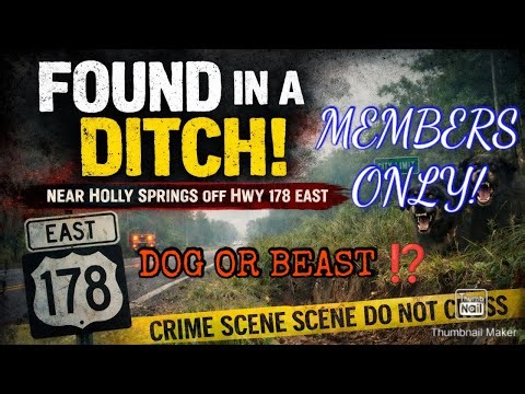 LAKESHA NEWSOM LEFT IN THE DITCH TO DIE!