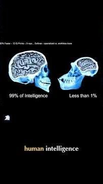 AI Will Soon Surpass Human Intelligence — Here’s What Happens Next