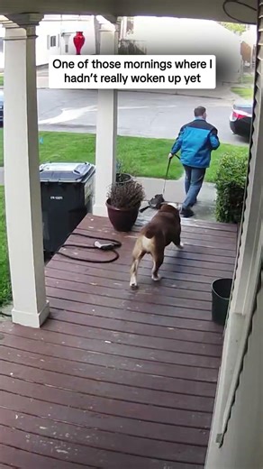 One of those mornings where I hadn't really woken up yet