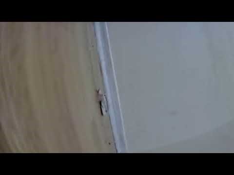 8 Pool Live Stream 🎱 - Table N°table1