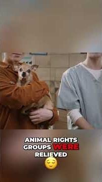 Save Toby: The Internet Hoax That Fooled Millions #shorts