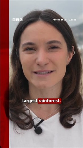 How could Brazil's presidential election impact the Amazon rainforest? #BBCNews