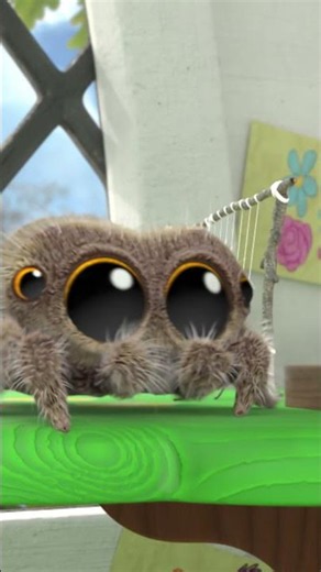 Lucas the Spider Saying Good Morning! #lucasthespider #friends #goodmorning
