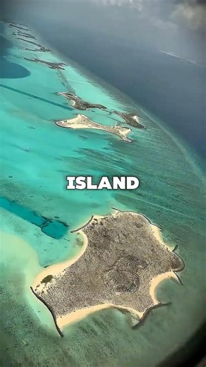 Marine Who Rule an Island #shorts #military #army