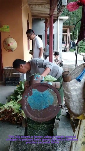 Traditional Pig Feed Prep: Chopping Fresh Farm Greens