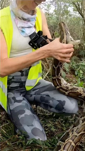 👩‍🦳vs 🐍Python bone breaker Pt2🫪 #TeeziAmor #Howto survive snake attack snakaholic #animals ❤️