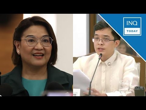 ‘Leviste files’ authentication now in Ombudsman’s hands — Castro | INQToday